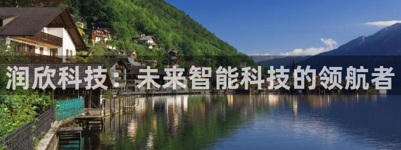 润欣科技：未来智能科技的领航者