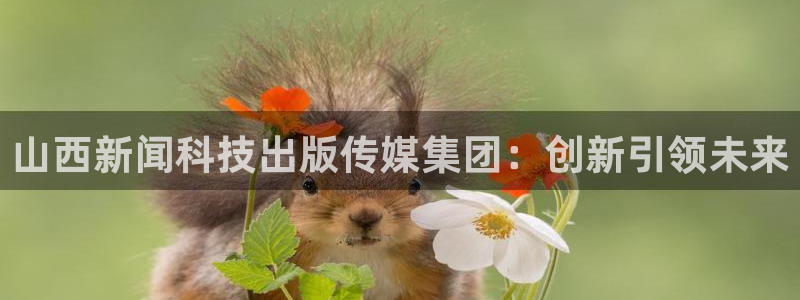 山西新闻科技出版传媒集团：创新引领未来