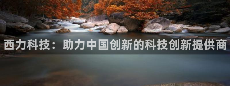 西力科技：助力中国创新的科技创新提供商