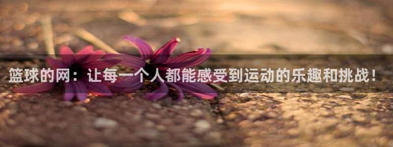篮球的网：让每一个人都能感受到运动的乐趣和挑战！