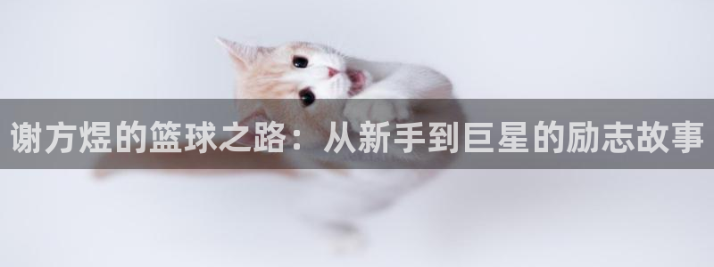谢方煜的篮球之路：从新手到巨星的励志故事