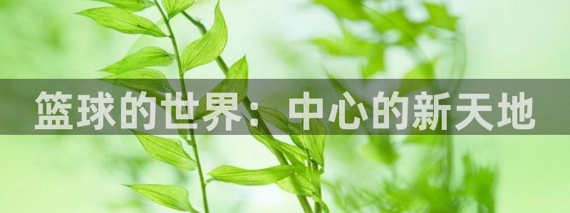 篮球的世界：中心的新天地