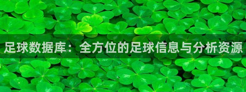 足球数据库：全方位的足球信息与分析资源