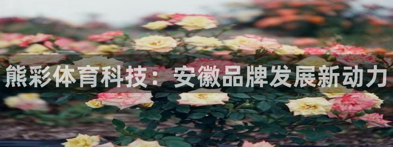 熊彩体育科技：安徽品牌发展新动力