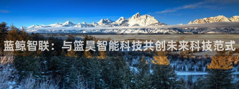 蓝鲸智联：与篮昊智能科技共创未来科技范式