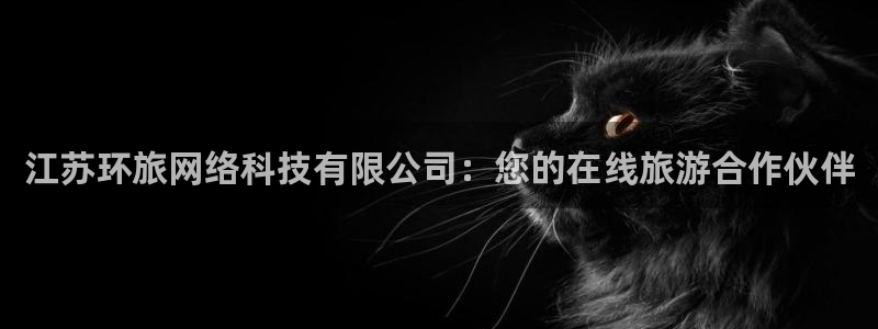江苏环旅网络科技有限公司：您的在线旅游合作伙伴