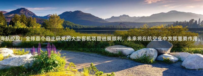 海航控股：全球首个自主研发的大型客机项目进展顺利，未来将在航空业中发挥重要作用。
