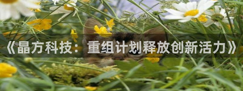 《晶方科技：重组计划释放创新活力》
