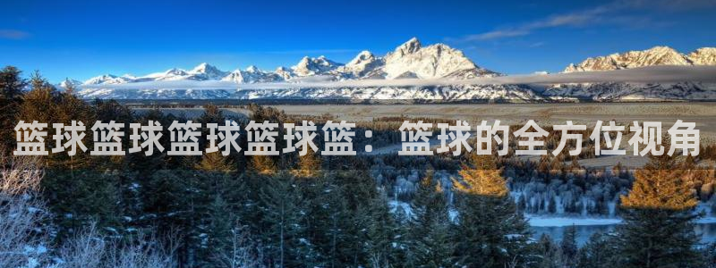 篮球篮球篮球篮球篮：篮球的全方位视角