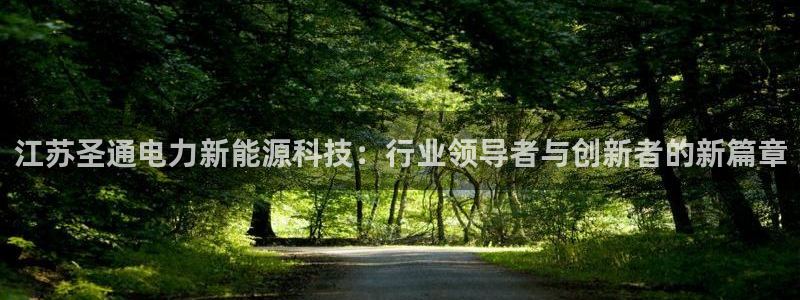 江苏圣通电力新能源科技：行业领导者与创新者的新篇章