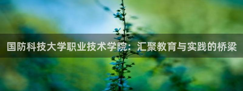 国防科技大学职业技术学院：汇聚教育与实践的桥梁