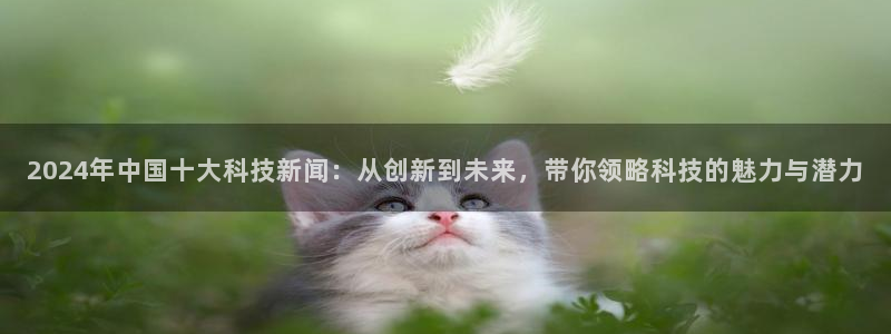 2024年中国十大科技新闻：从创新到未来，带你领略科技的魅力与潜力