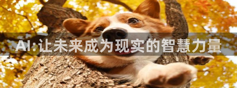 AI:让未来成为现实的智慧力量