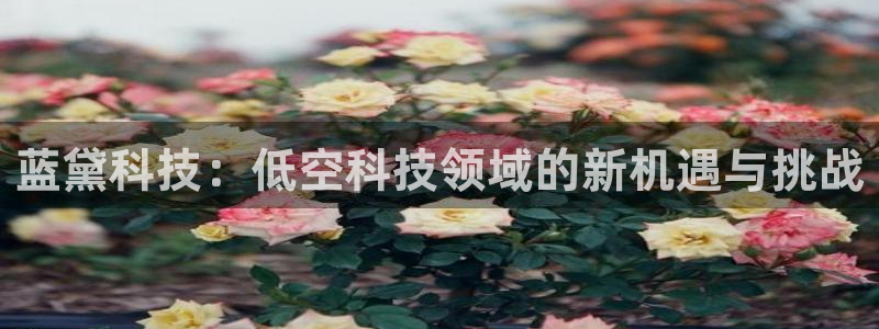 蓝黛科技：低空科技领域的新机遇与挑战