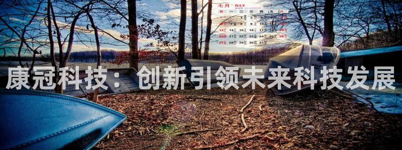 康冠科技：创新引领未来科技发展