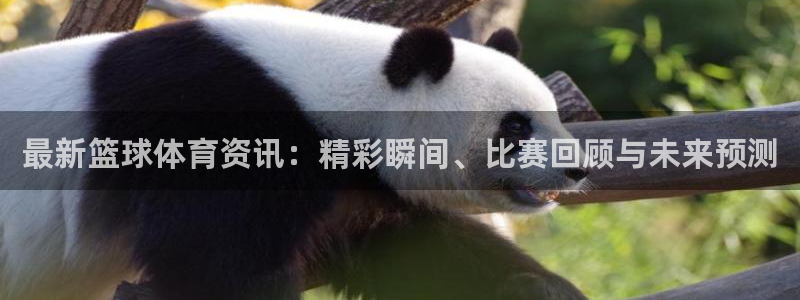 最新篮球体育资讯：精彩瞬间、比赛回顾与未来预测