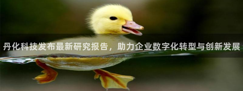 丹化科技发布最新研究报告，助力企业数字化转型与创新发展
