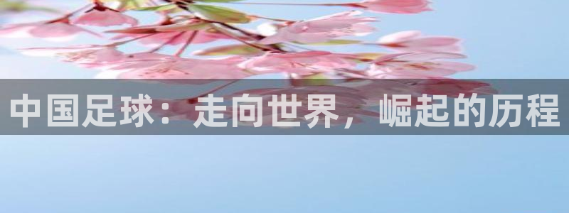 中国足球：走向世界，崛起的历程
