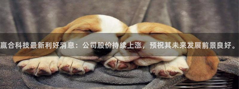 赢合科技最新利好消息：公司股价持续上涨，预祝其未来发展前景良好。