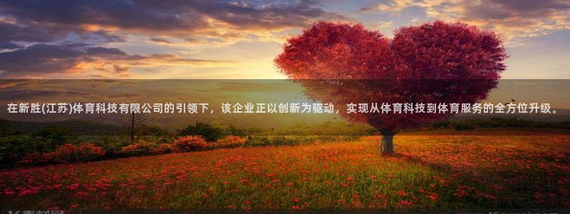 在新胜(江苏)体育科技有限公司的引领下，该企业正以创新为驱动，实现从体育科技到体