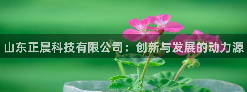 山东正晨科技有限公司：创新与发展的动力源