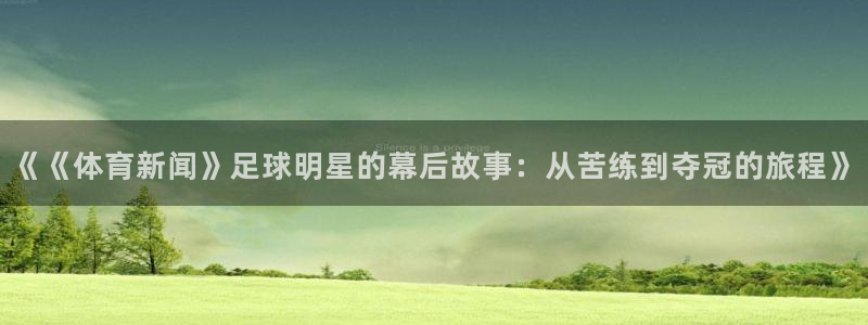 《《体育新闻》足球明星的幕后故事：从苦练到夺冠的旅程》