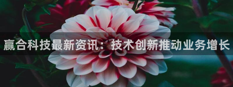 赢合科技最新资讯：技术创新推动业务增长