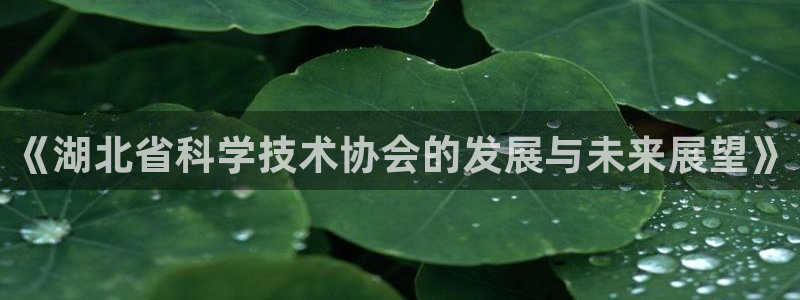 《湖北省科学技术协会的发展与未来展望》