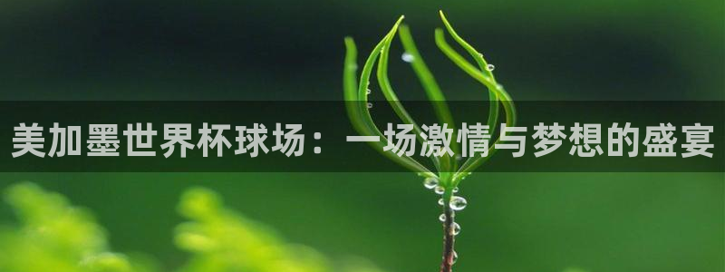 美加墨世界杯球场：一场激情与梦想的盛宴