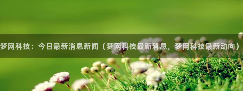 梦网科技：今日最新消息新闻（梦网科技最新消息，梦网科技最新动向）