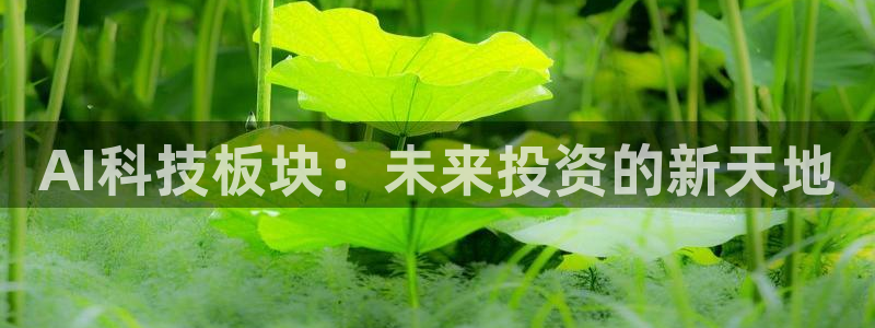 AI科技板块：未来投资的新天地